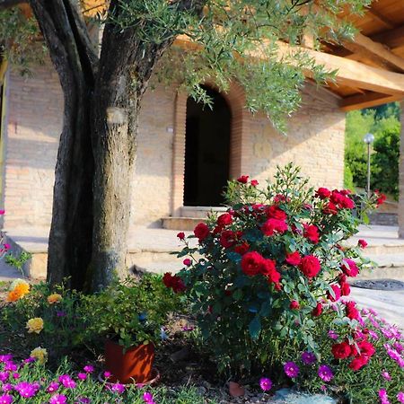 Agriturismo La Tana Citta di Castello Luaran gambar