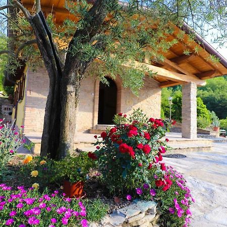 Agriturismo La Tana Citta di Castello Luaran gambar