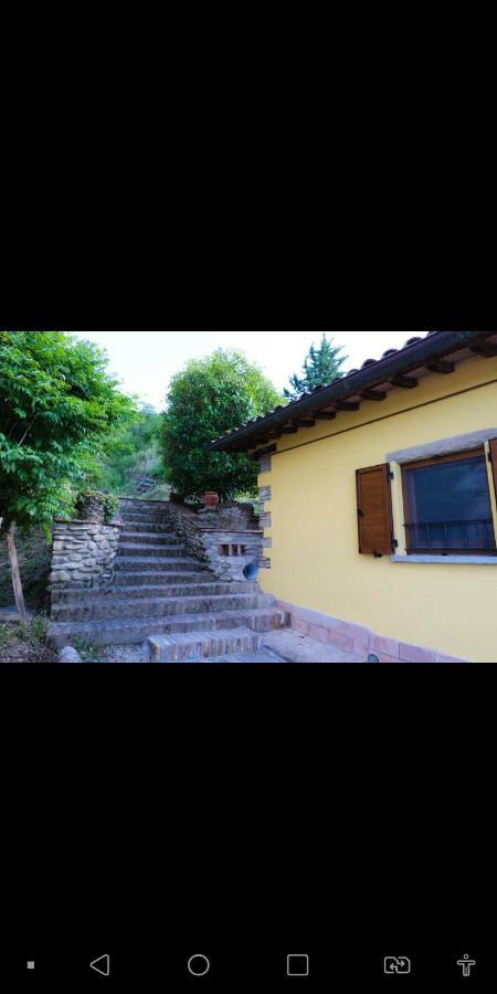 Agriturismo La Tana Citta di Castello Luaran gambar