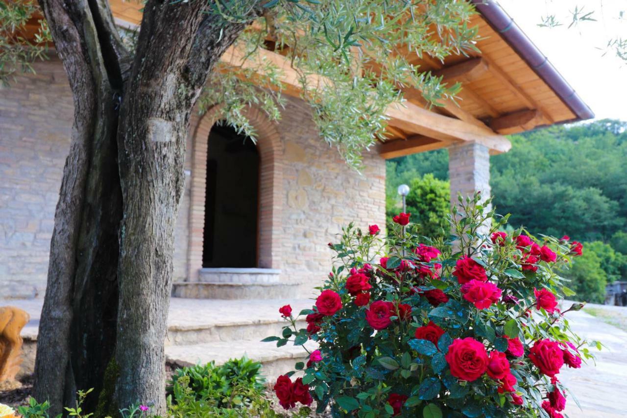 Agriturismo La Tana Citta di Castello Luaran gambar