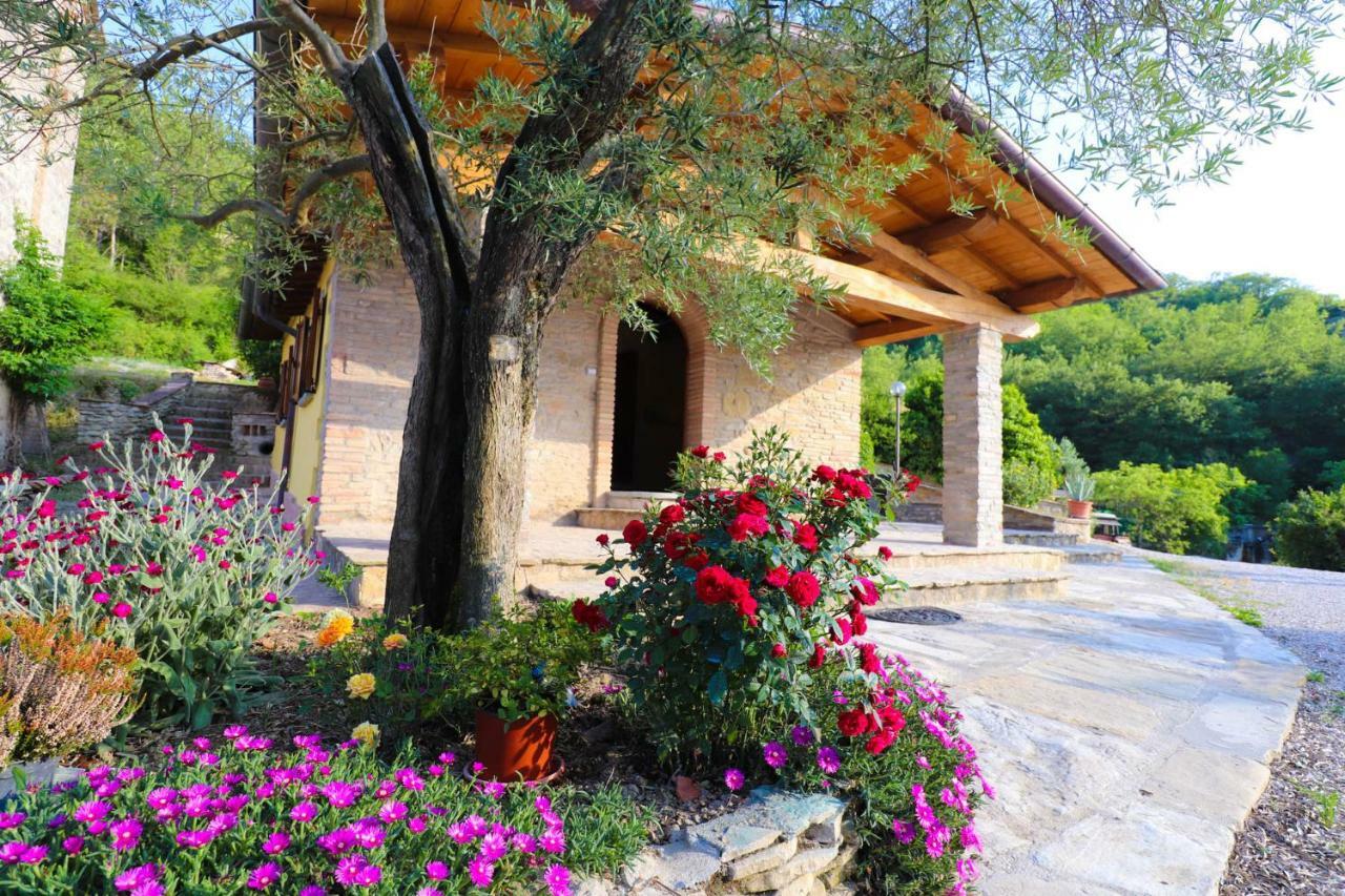 Agriturismo La Tana Citta di Castello Luaran gambar