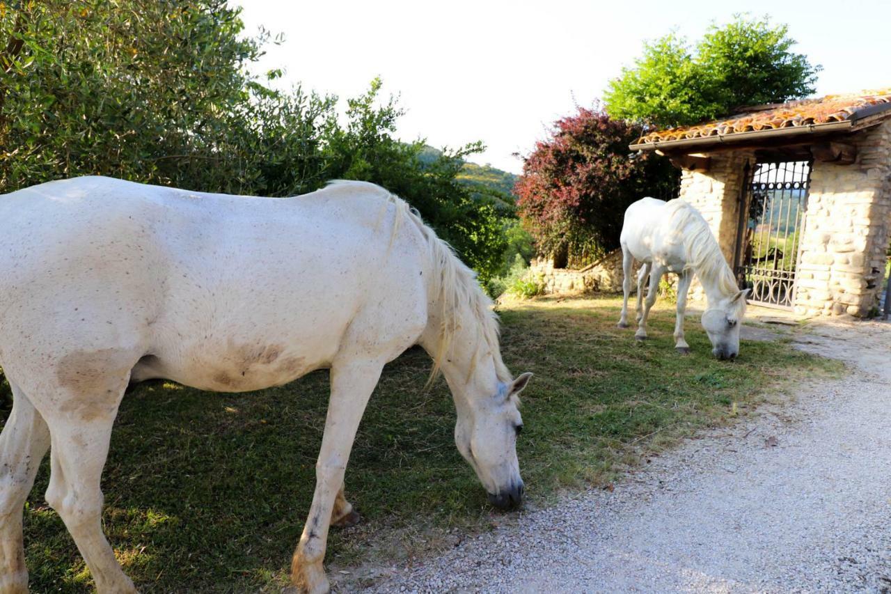 Agriturismo La Tana Citta di Castello Luaran gambar